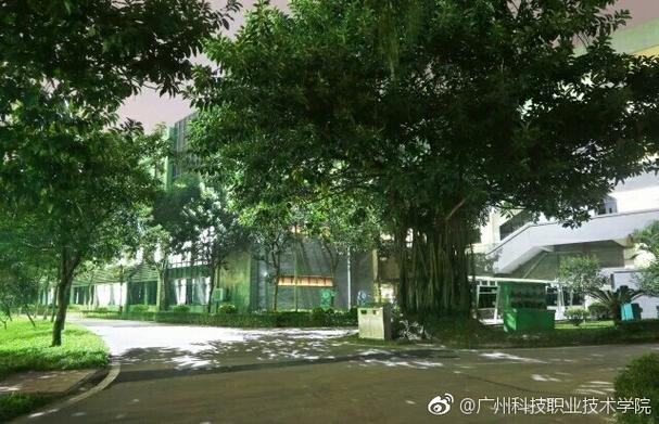 纸飞机载着梦想划过天空 阳光落在叶子上 ... 来自广州科技职业技术大